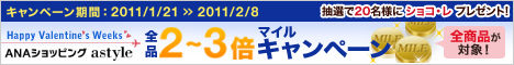 ANAショッピング 全品2-3倍マイルキャンペーン中(2/8まで)