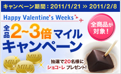 ANAショッピング 全品2-3倍マイルキャンペーン中(2/8まで)