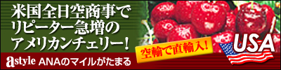 astyle ANAショッピングサイト