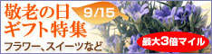 astyle ANAショッピングサイト