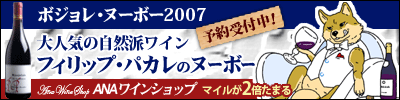 astyle ANAショッピングサイト