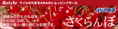 さくらんぼ 400-100