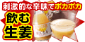 astyle ANAショッピングサイト