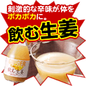 astyle ANAショッピングサイト