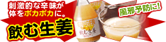 astyle ANAショッピングサイト