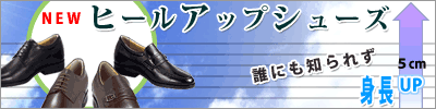 astyle ANAショッピングサイト
