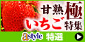 astyle@`m`VbsOTCg