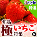 astyle　ＡＮＡショッピングサイト