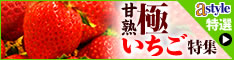 astyle ANAショッピングサイト