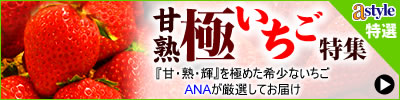 astyle ANAショッピングサイト