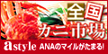 astyle ANAショッピングサイト