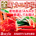astyle ANAショッピングサイト