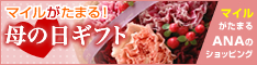 母の日:ANAショッピング ANAのマイルがたまるastyle