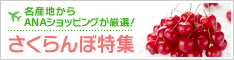 ANAショッピング astyle