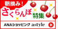 ANAショッピング ANAのマイルがたまるastyle