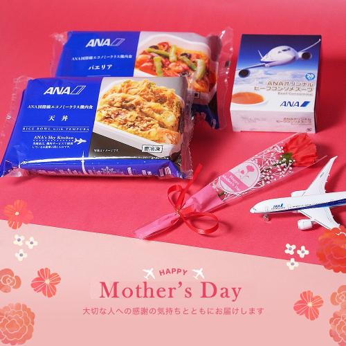 母の日いつもありがとう便　機内食2個＋ANAオリジナルビーフコンソメスープセット（機内食2種×各1個ずつ＋ビーフコンソメスープ1箱）【母の日お届け受注締め切り：4月26日（日）23:59まで】