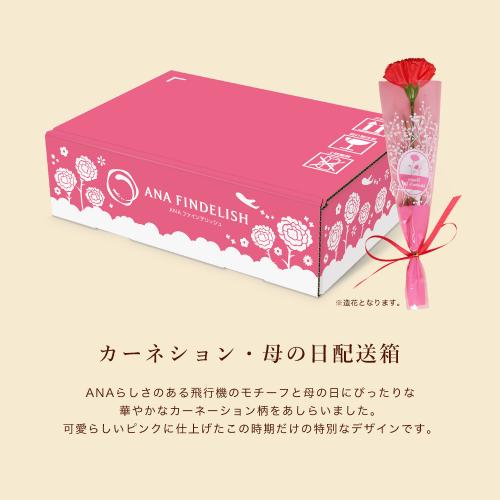 母の日いつもありがとう便　機内食2個＋ANAオリジナルビーフコンソメスープセット（機内食2種×各1個ずつ＋ビーフコンソメスープ1箱）【母の日お届け受注締め切り：4月26日（日）23:59まで】