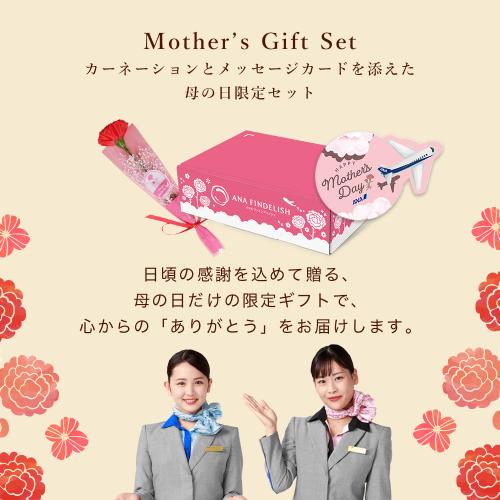 母の日いつもありがとう便　機内食2個＋ANAオリジナルビーフコンソメスープセット（機内食2種×各1個ずつ＋ビーフコンソメスープ1箱）【母の日お届け受注締め切り：4月26日（日）23:59まで】
