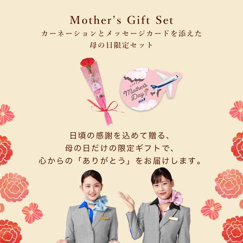 母の日いつもありがとう便　機内食4個＋ANA FINDELISH山形県産舟形マッシュルームを使ったデミグラスハンバーグセット（機内食4種×各1個ずつ＋ハンバーグ1袋（2個入り））【母の日お届け受注締め切り：4月26日（日）23:59まで】