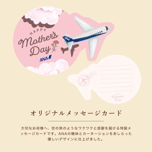 母の日いつもありがとう便　機内食4個＋ANA FINDELISH山形県産舟形マッシュルームを使ったデミグラスハンバーグセット（機内食4種×各1個ずつ＋ハンバーグ1袋（2個入り））【母の日お届け受注締め切り：4月26日（日）23:59まで】