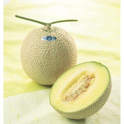 【送料当社負担】ANA’sフレッシュセレクション『麗コース』全20品＋2品 選択商品28品