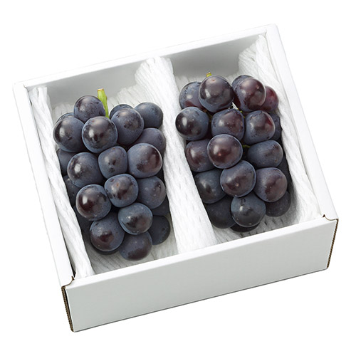 ＜岡山県産＞種無しニューピオーネ（2房）1.2kg【受注締め切り日：2026/9/20】