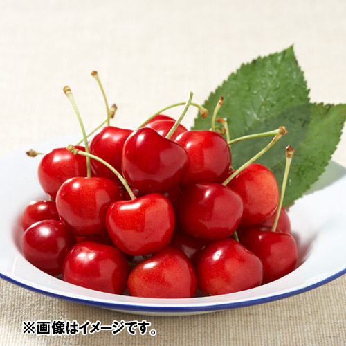 ＜山形県産＞天香園グループ 紅秀峰 秀2L玉（バラ詰）1kg【受注締め切り日：2026/6/30】