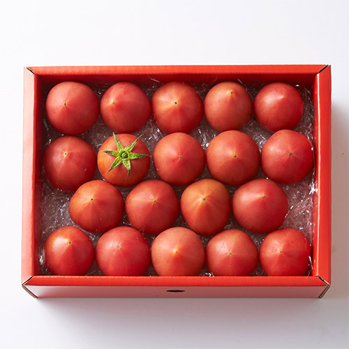 ＜高知県産＞徳谷トマト【生産者71番】1kg【受注締め切り日：2026/5/15】