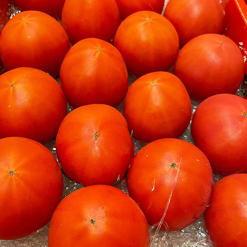 ＜高知県産＞徳谷トマト【生産者52番】1kg【受注締め切り日：2026/5/15】