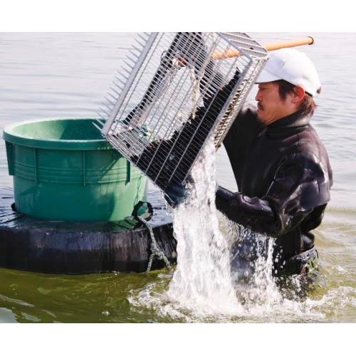 【島根県】宍道湖　しじみ汁
