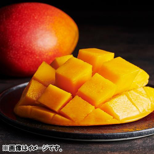 【送料込】＜宮崎県産＞完熟マンゴー「太陽のタマゴ」1kg【受注締め切り日：2026/6/20】