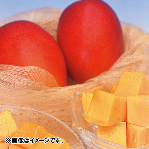 【送料込】＜宮崎県産＞完熟マンゴー「太陽のタマゴ」1kg【受注締め切り日：2026/6/20】