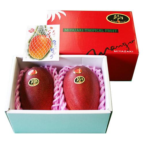 【送料込】＜宮崎県産＞完熟マンゴー「太陽のタマゴ」1kg【受注締め切り日：2026/6/20】