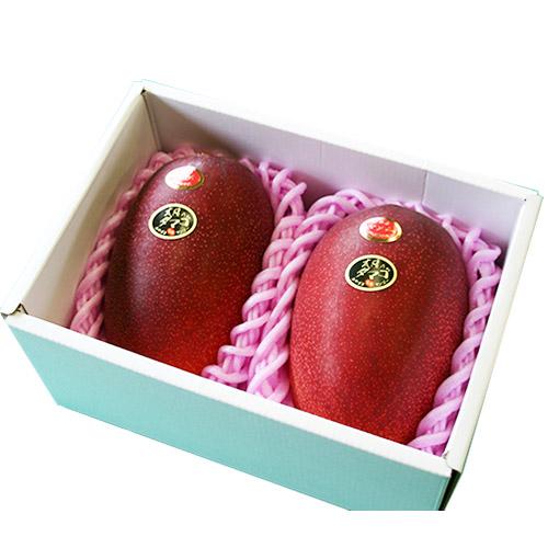 【送料込】＜宮崎県産＞完熟マンゴー「太陽のタマゴ」1kg【受注締め切り日：2026/6/20】