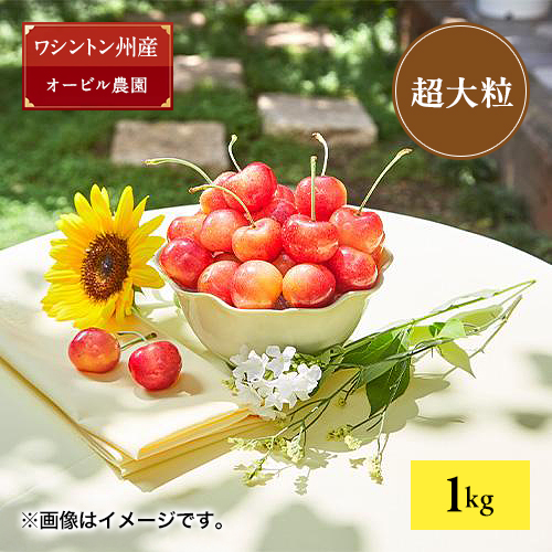 ＜オービル農園＞GEEWHIZ特選レイニアチェリー（超大粒）1kg【受注締め切り日：2026/7/1】
