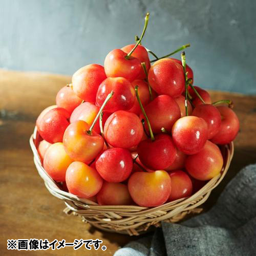 ＜オービル農園＞GEEWHIZ特選レイニアチェリー（超大粒）1kg【受注締め切り日：2026/7/1】