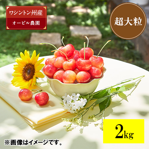 ＜オービル農園＞GEEWHIZ特選レイニアチェリー（超大粒）2kg【受注締め切り日：2026/7/1】