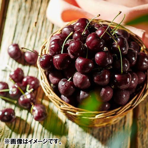 ＜ワシントン州産＞大粒アメリカンチェリー（ビング種）4kg【受注締め切り日：2026/5/31】