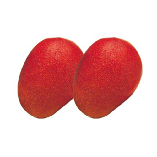 【送料込】＜沖縄県産＞ファイン紅マンゴー秀品（2玉）【受注締め切り日：2026/7/23】