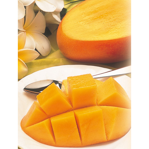 【送料込】＜沖縄県産＞ファイン紅マンゴー秀品（2玉）【受注締め切り日：2026/7/23】