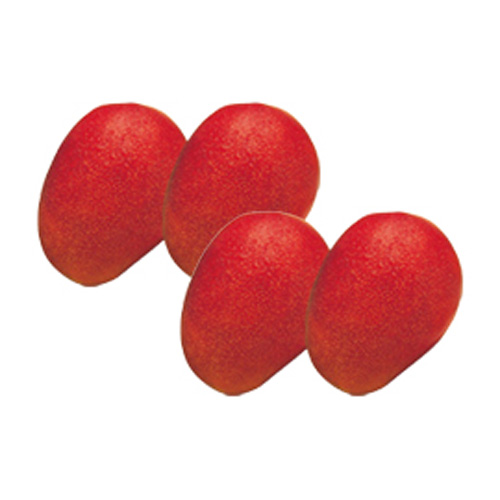 【送料込】＜沖縄県産＞ファイン紅マンゴー秀品（3～5玉）【受注締め切り日：2026/7/23】