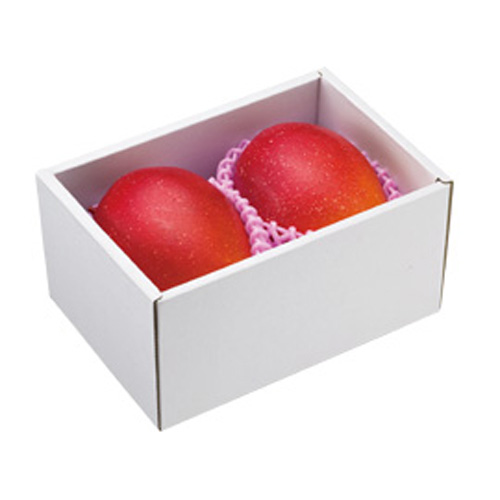 【送料込】＜宮崎西都産＞完熟マンゴー（2玉）【受注締め切り日：2026/6/30】