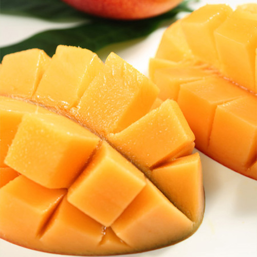 【送料込】＜宮崎西都産＞完熟マンゴー（2玉）【受注締め切り日：2026/6/30】