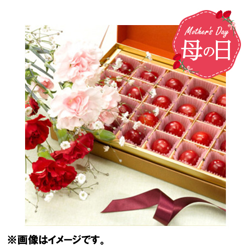 【母の日】真赤なさくらんぼとカーネーション詰め合わせ　※送料込【受注締め切り日：2026/4/29】