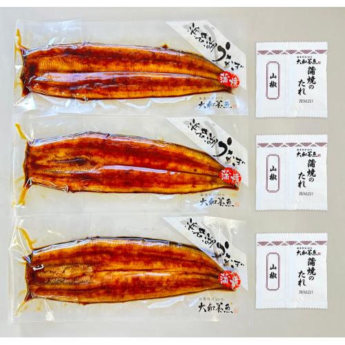 ＜静岡県浜名湖産・大和養魚＞浜名湖産うなぎ蒲焼3尾