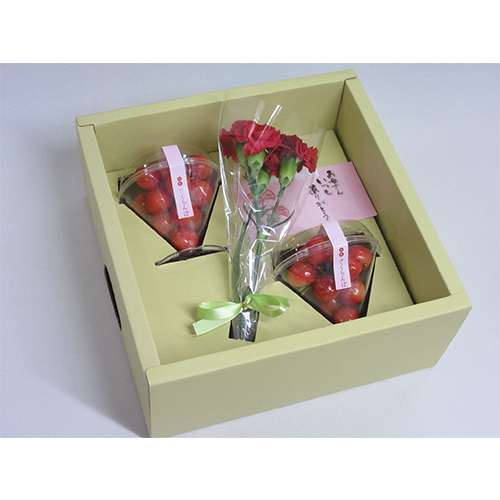 【母の日】カーネーション付さくらんぼ（スタンドカップ入）【受注締め切り日：2026/4/28】
