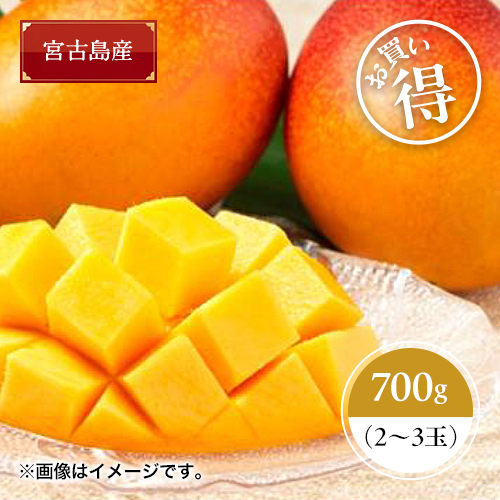 【送料込】【ご自宅用】＜宮古島産＞マンゴー（2～3玉）700g【受注締め切り日：2026/7/5】