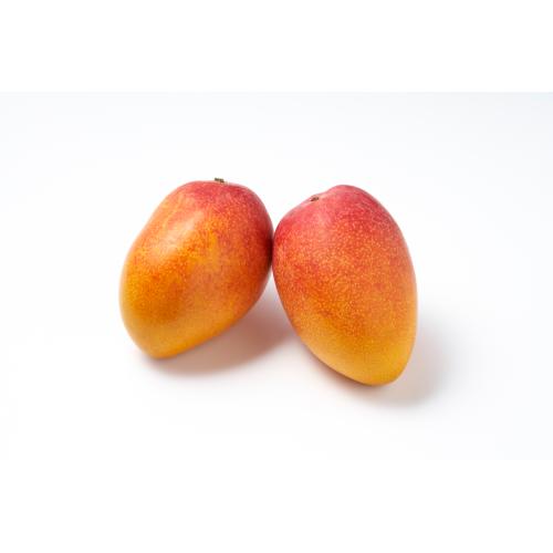 【送料込】【ご自宅用】＜宮古島産＞マンゴー（2～3玉）700g【受注締め切り日：2026/7/5】