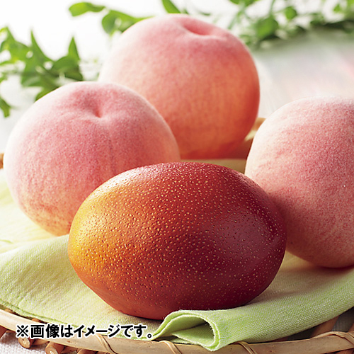 ＜国産＞マンゴー＆＜山梨県産＞水蜜桃【受注締め切り日：2026/7/10】