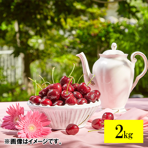 ＜オービル農園＞GEEWHIZ特選ダークチェリー（超大粒）2kg【受注締め切り日：2026/7/1】